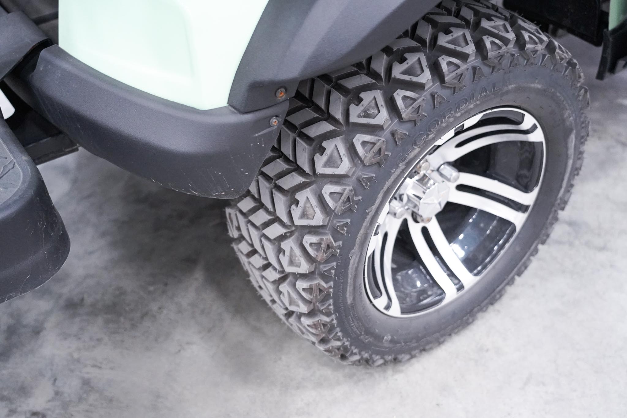 2025 Raccoon RC-G4.0 Electric Golf Cart (Unused) - Image 8